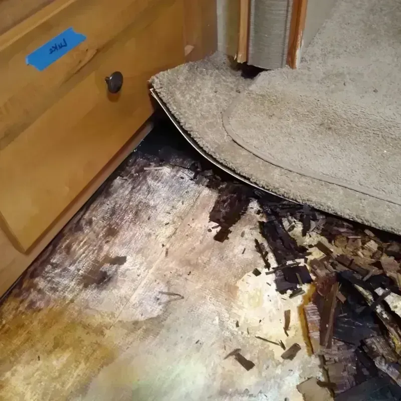 Wood Floor Water Damage in Ozark, MO